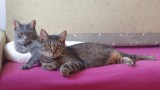 Thelma (1)